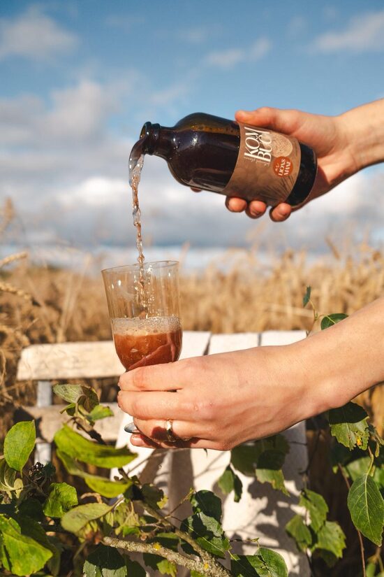 Meža melleņu un lions mane kombuča (10)